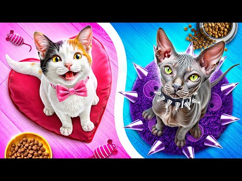 Видео: Хороший vs плохой кот! Мы построили домики для домашних животных