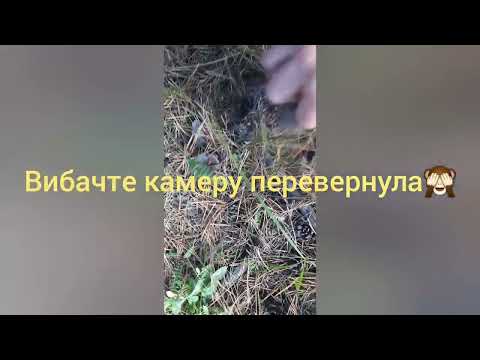 Видео: МІЙ ДЕНЬ💝💖🌹🎂🥂ДЕНЬ НАРОДЖЕНня🔥