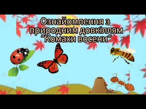 Видео: Ознайомлення з природним довкіллям "Комахи восени" старша група