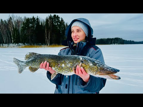 Видео: Зимняя рыбалка на жерлицы с Юлей. Трофейная щука. Отдых на озере. Природа