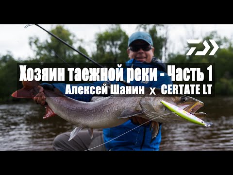 Видео: Обзор катушки DAIWA NEW CERTATE LT 5000. Силовая рыбалка в тайге.