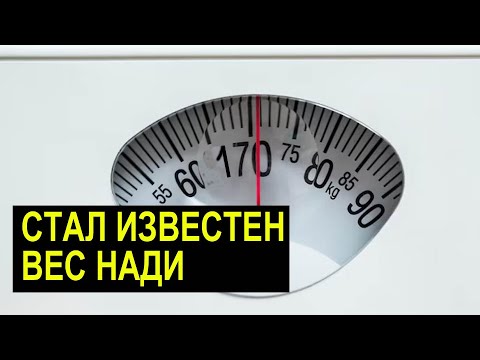 Видео: САМВЕЛ АДАМЯН СТАЛ ИЗВЕСТЕН ВЕС НАДИ. КОЛЯ В МАШИНЕ НАШЕЛ СЛЕДЫ МУРНЕТА