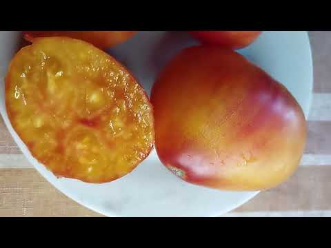 Видео: Выставка томатов, выращенных в Кировской области