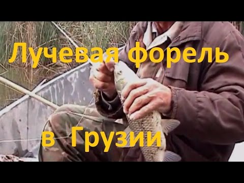 Видео: Диалоги о рыбалке - 180 - Рыбалка в Грузии. Лучевая форель.