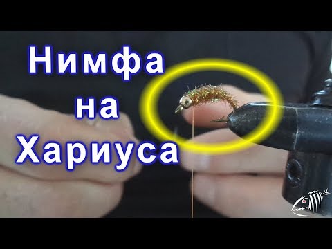 Видео: Нимфа на Хариуса