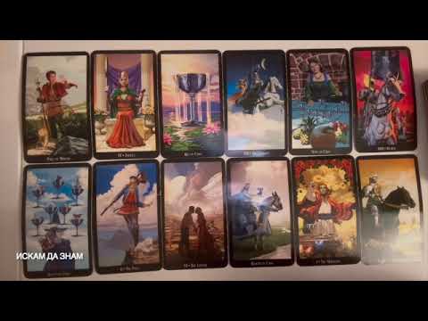 Видео: Има цел, има план и няма мърдане #tarot #таро #fortunetelling #тарогадание #картитаро