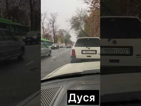 Видео: Айына 10млн екен #automobile #автокөлік