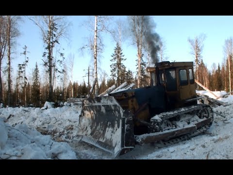 Видео: Работа древнего бульдозера Т-130 Как на самом деле...