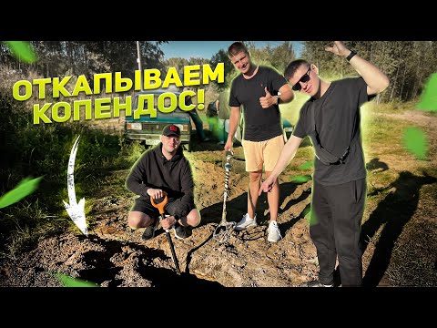 Видео: 7 ЛЕТ ПОД ЗЕМЛЕЙ , ЧТО СТАЛО С КОПЕНДОСОМ? - Наши Будни