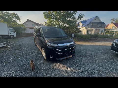 Видео: Toyota Noah 2024 год 4WD! В наличии!