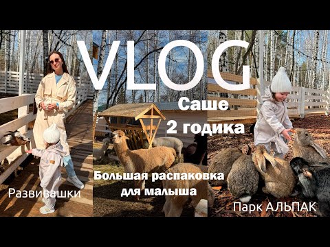 Видео: Саше 2 годика/Парк Альпак /Игры в два года / Покупки для ребенка