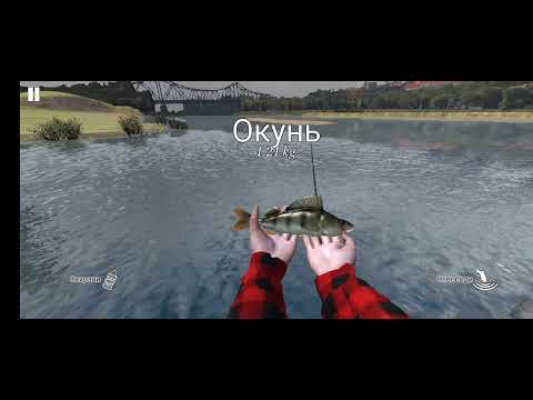 Видео: Играю в рыбалку