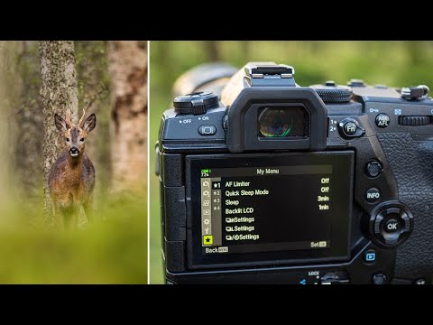 Видео: Настройки системы OM EM1X | 5 советов по съёмке дикой природы Olympus