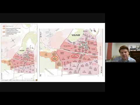 Видео: Волнующий Вольнэ