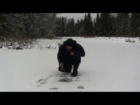 Видео: Большая щука в маленькой речке.  Нашел место для избы