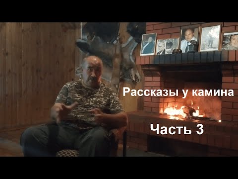 Видео: Ответы на вопросы подписчиков: Часть 3. Волкособы, компенсация за подстрел собаки и парная работа.