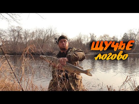 Видео: НА РЫБАЛКУ за Щукой! Щука на Сахалине! Логово хищных  рыб.