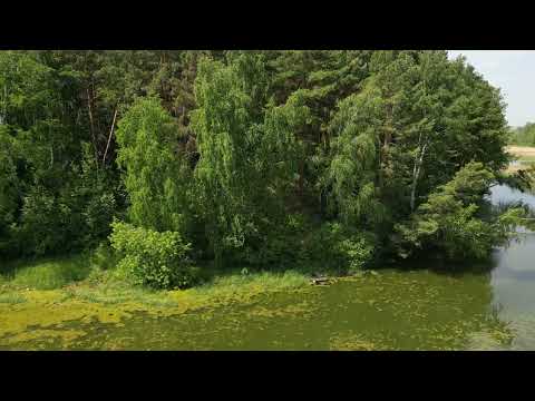 Видео: Парк "Лунёвка"  р.п. Ордынское.