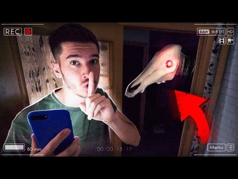 Видео: НИКОГДА НЕ ПИШИ ЛОНГ ХОРСУ! СТРАШНАЯ ПЕРЕПИСКА ! Потусторонние