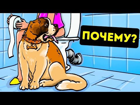 Видео: Почему Ваш Пес Всегда Ходит за Вами в Ванную