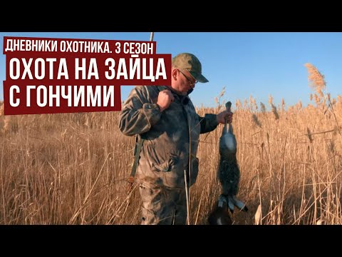 Видео: ОХОТА НА ЗАЙЦА с гончими в Ростовской обл. // Дневники охотника #3 / #9