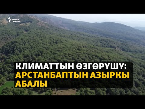 Видео: Климаттын өзгөрүшү: Арстанбаптын азыркы абалы