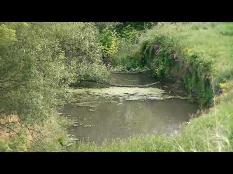 Видео: Мой край родной- моя Ачалга