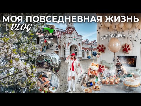 Видео: VLOG: МЫ ПЕРЕЕХАЛИ? 7 ЛЕТ МАЛЫШУ🧸 МОИ БУДНИ  2025 .. Работа, Прогулки, Пасха