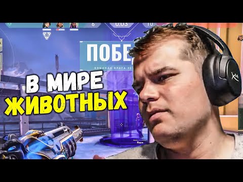 Видео: CEH9 УЧИТСЯ ИГРАТЬ В VALORANT #3 / В МИРЕ ЖИВОТНЫХ