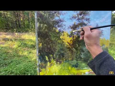 Видео: Летний этюд