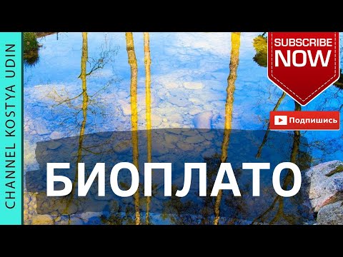 Видео: БИОПЛАТО (#LANDSCAPE) ФИЛЬТРАЦИЯ ВОДОЁМА