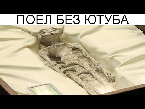 Видео: Дневная подборка мемов 860