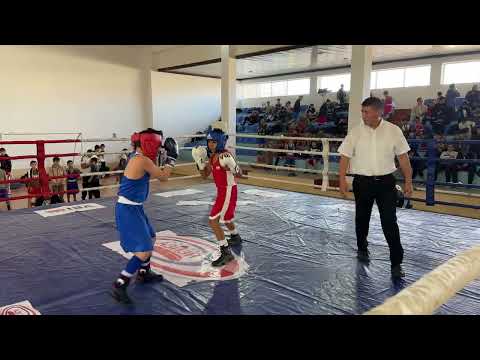 Видео: Финал 29.10.2025