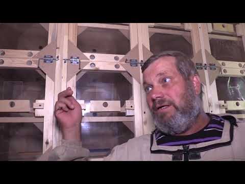 Видео: ПАВИЛЬОННОЕ ПЧЕЛОВОДСТВО  Устройство кассетного павильона БЕРЕНДЕЙ