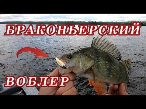 Видео: Это ПРОСТО БРАКОНЬЕРСКИЙ ВОБЛЕР!!! Другие Приманки молчат а он КОСИТ ОКУНЯ!