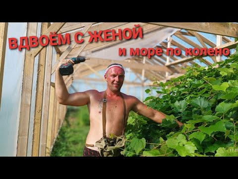 Видео: В жару +35⁰С все проветривают, а мы укрываем! Нашу мини теплицу вы ещё не видели?