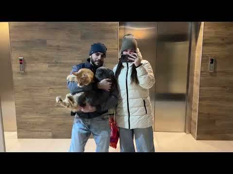 Видео: Манжерок VS Шерегеш