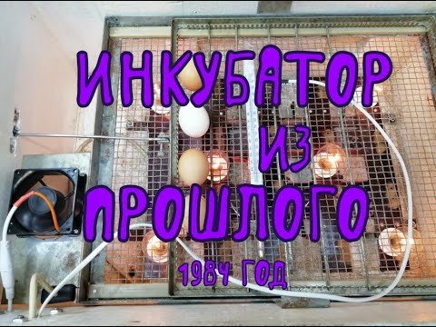 Видео: Инкубатор. Переделка инкубатора из СССР.
