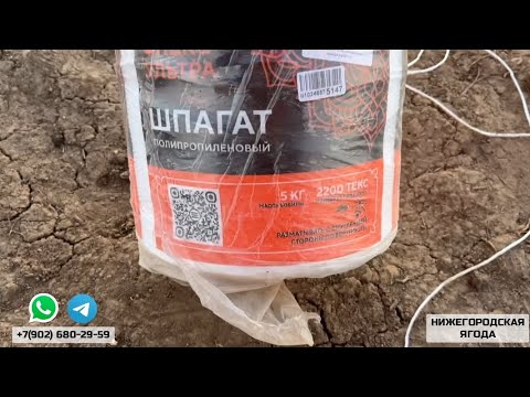 Видео: 16 АПРЕЛЯ 2025. КАК МЫ СТАВИМ БАЛАГАНЫ ДЛЯ КЛУБНИКИ