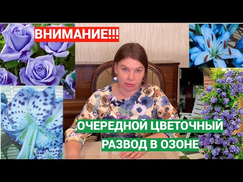 Видео: Цветочный обман в Озоне