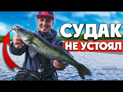 Видео: Ловля СУДАКА на СПИННИНГ на ДЖИГ! Судак не устоял от такой приманки! Рыбалка 2020!