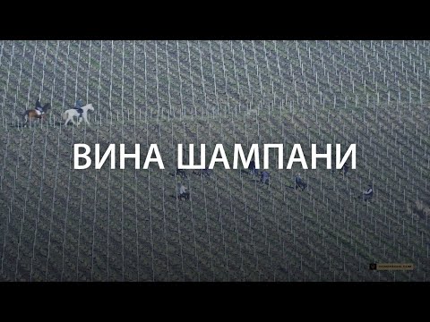 Видео: Champagne ВИНА ШАМПАНИ