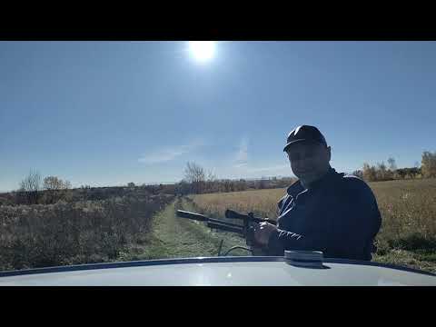 Видео: Стоячи з рук на 30,40,50,60 метрів.