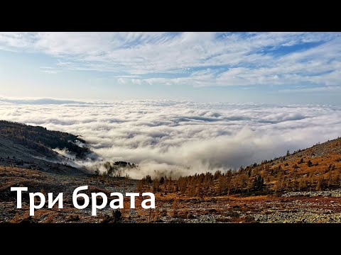 Видео: Три брата. Забрались выше облаков! ⛰️⛅