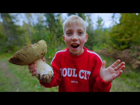 Видео: ГРИБАЛКА і НОВИЙ дім. Несподівана знахідка