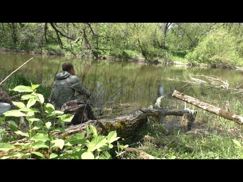 Видео: ПЕРВАЯ РЫБАЛКА НА ПОПЛАВОК В МАЕ на реке. Весенняя рыбалка на поплавок!
