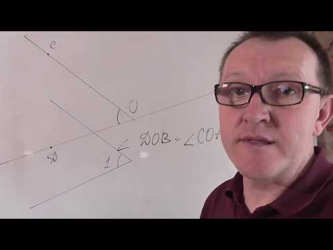 Видео: Геометрия 7 класс за  один час. 1 часть