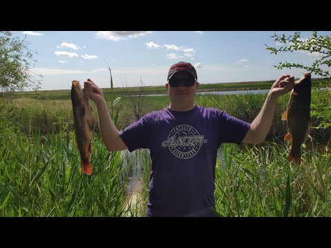 Видео: СУПЕР КЛЁВ. Рыбалка в Казахстане Тараз