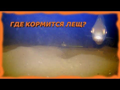 Видео: КАК ПО РЕЛЬЕФУ ДНА ПОНЯТЬ ЧТО ТУТ КОРМИТСЯ РЫБА? | Подводные съемки. Ловим леща на новом месте.