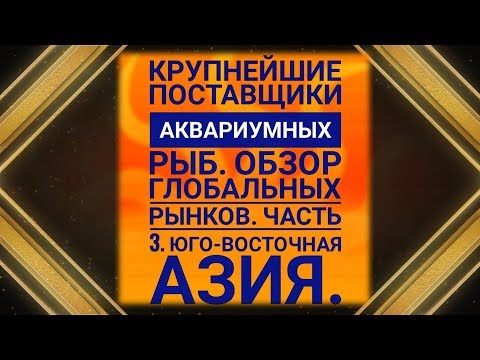 Видео: Ч.3. Азия. Крупнейшие поставщики аквариумных рыб.